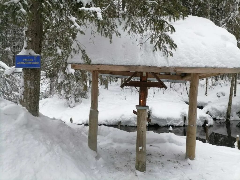 Родники д 2. Деревня Демьяновка. Родник на Баженова. Село Козьмо-Демьяновка.