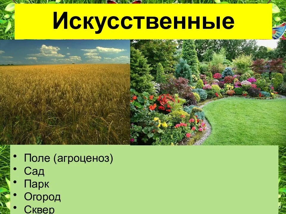Сообщества созданные человеком. Искусственные природные сообщества. природные сообщества естественные и искусственные. искусственные сообщества агроценозы. искусственные сообщества растений.