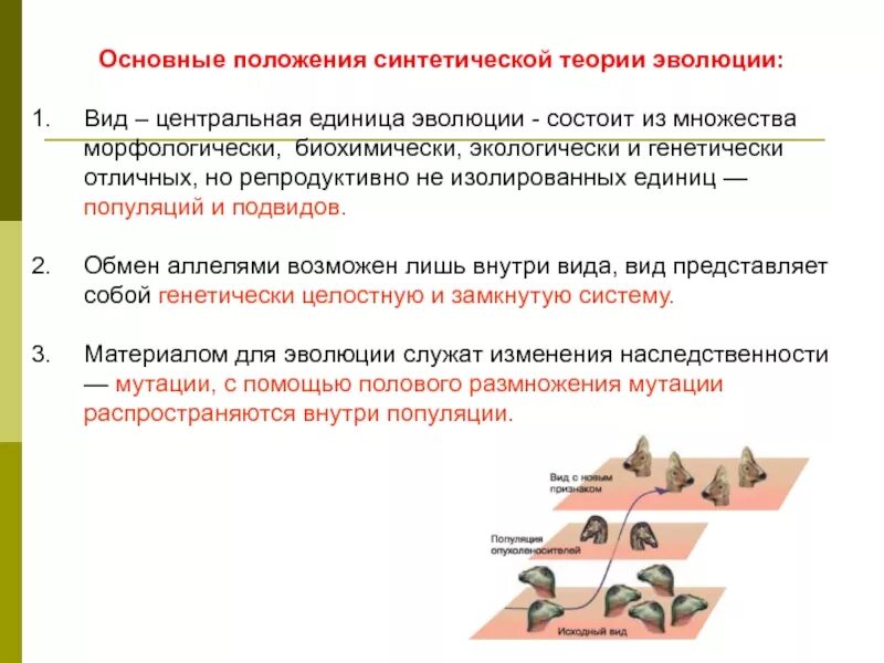 Мутации внутри популяции