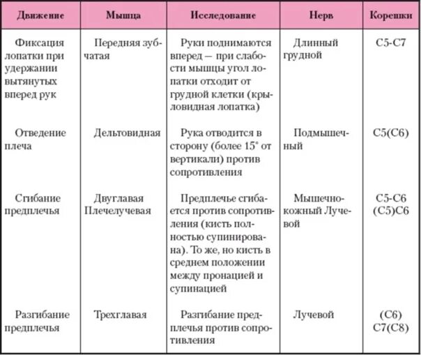 Функции мышц нижних конечностей таблица. Мышцы верхних и нижних конечностей таблица. Функции мышц верхних конечностей таблица. Мышцы нижних конечностей анатомия таблица. Функции движения суставов