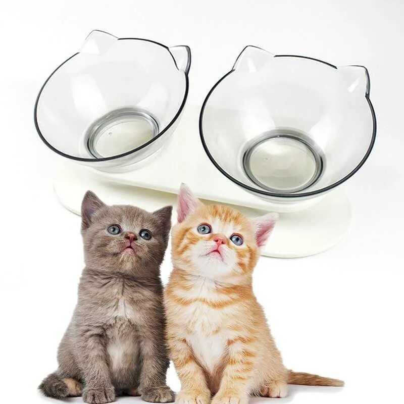 Почему котенок не пьет. Прозрачная миска для кошки. Миски для кошек и котят. Миска с кошечкой. Миска для воды для кошек.