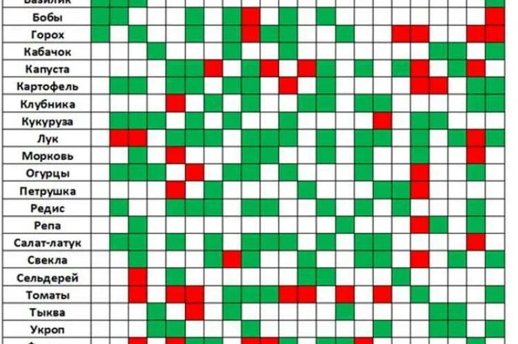 Соседство овощей на грядках таблица совместимости растений. Соседство овощей на грядках. Совместимость растений. Соседство овощей в теплице. Совместимость овощей на огороде таблица.