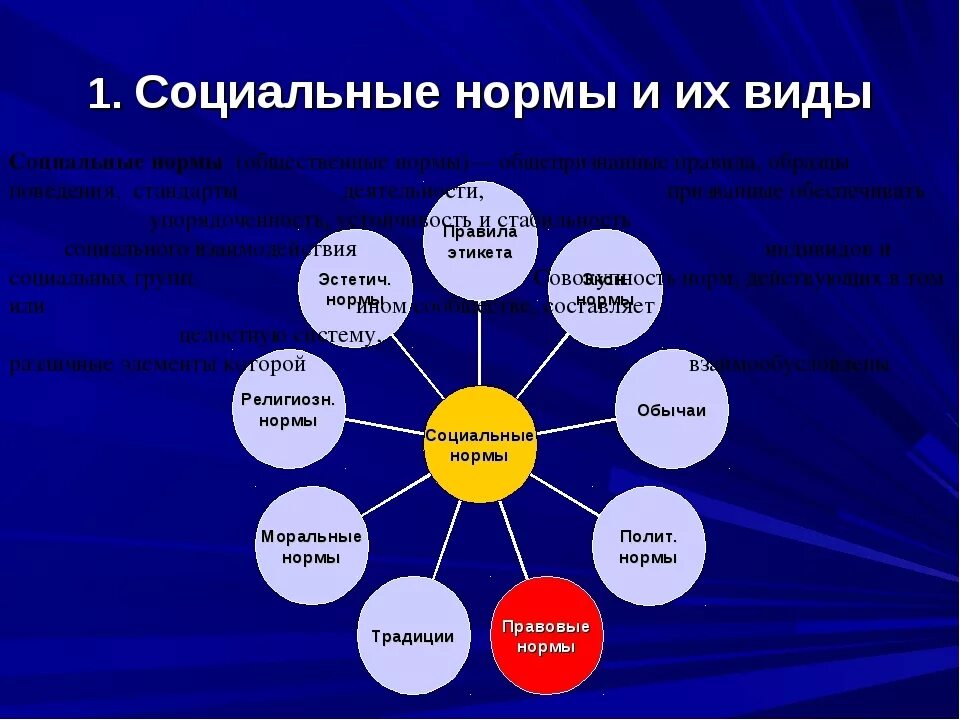 Какие есть понятия жизни