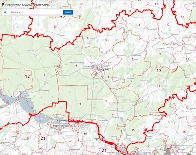 Кадастровая карта лесничества