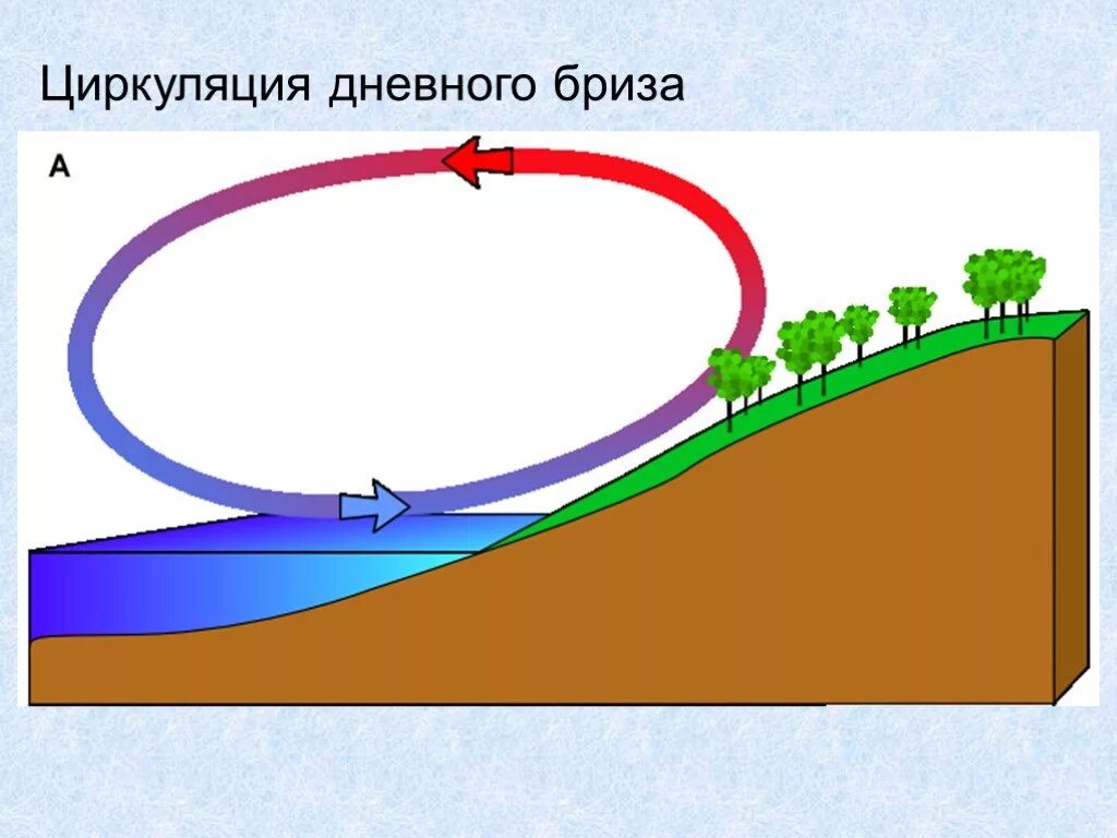 Рисунок окружающий мир 1 класс ветер. Схема возникновения ветра. Схема дневного и ночного бриза. Схема образования бриза. Циркуляция рисунок.