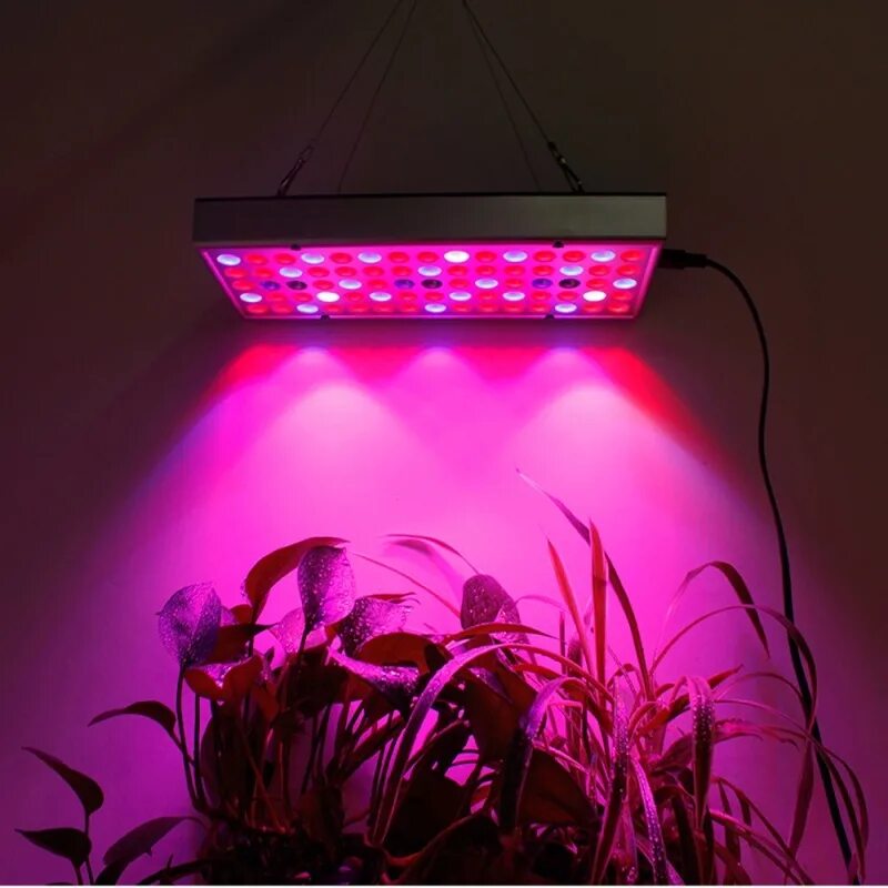 Led grow plant. Фитолампа led grow Light. Лампа Plant grow Light фитолампы. Светодиодная фитолампа Glanzen 80 Вт. Фитолампа для растений светодиодная полный спектр.