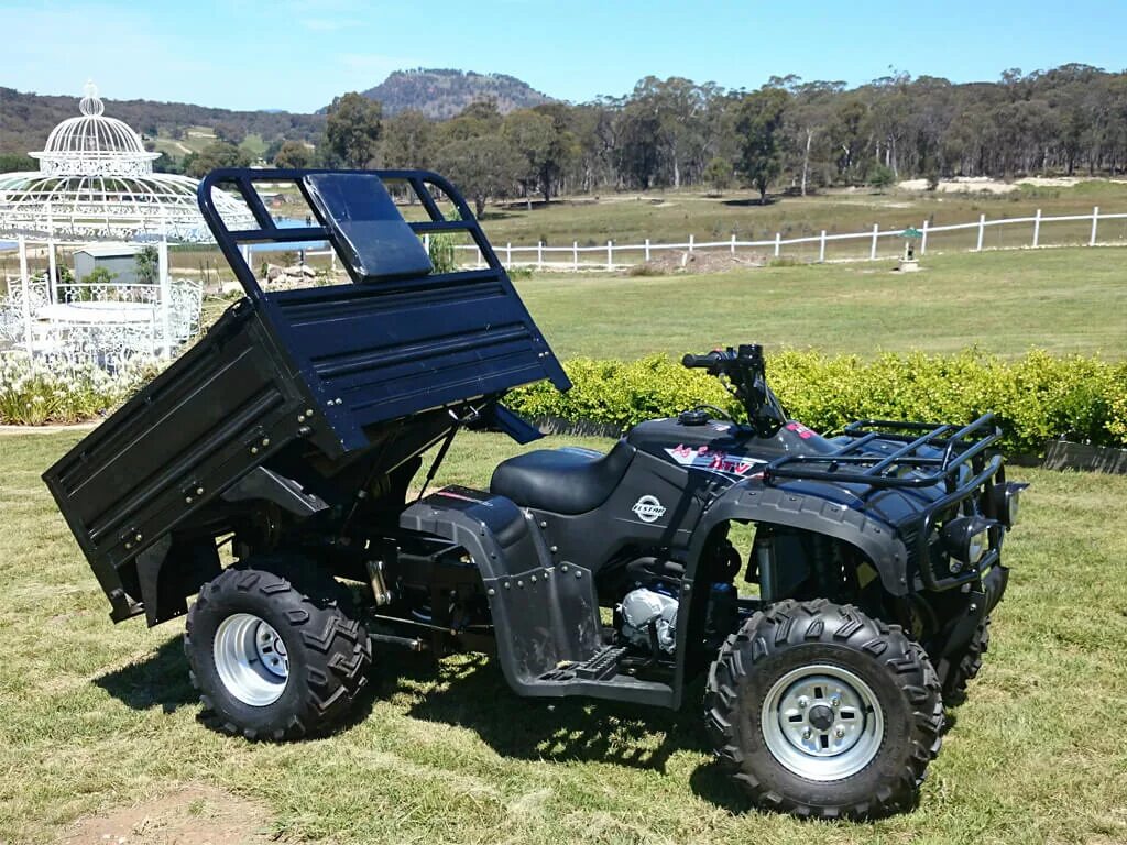 Квадроцикл где магазин. Квадроцикл boss atv 250. atv 250cc квадроцикл с алишки. atv 250 с кузовом 4 wd. атв 250 квадроцикл с кузовом.