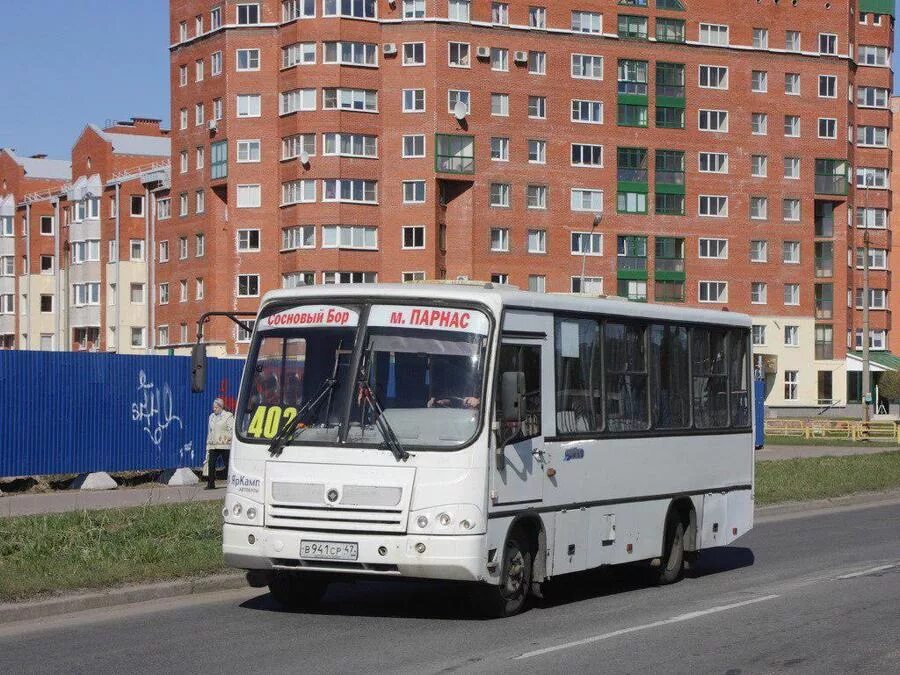 Маршрут 402 Сосновый Бор. 402 Автобус Сосновый Бор Парнас. Автобус 401 Сосновый Бор. Автобус 402 Сосновый Бор — Санкт-Петербург,.