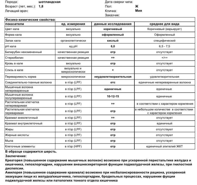 Жидкий кал на анализы можно. Исследование анализа мочи и кала. Анализ кала кошки расшифровка. Таблица исследование крови мочи и кала. Общий анализ кала у собак.