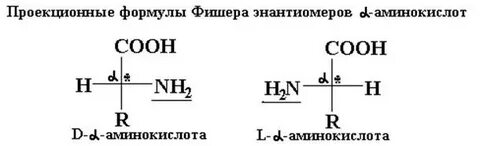 Глицин аминопропановая кислота