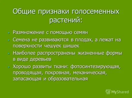 Каковы основные признаки голосеменных растений 7 класс
