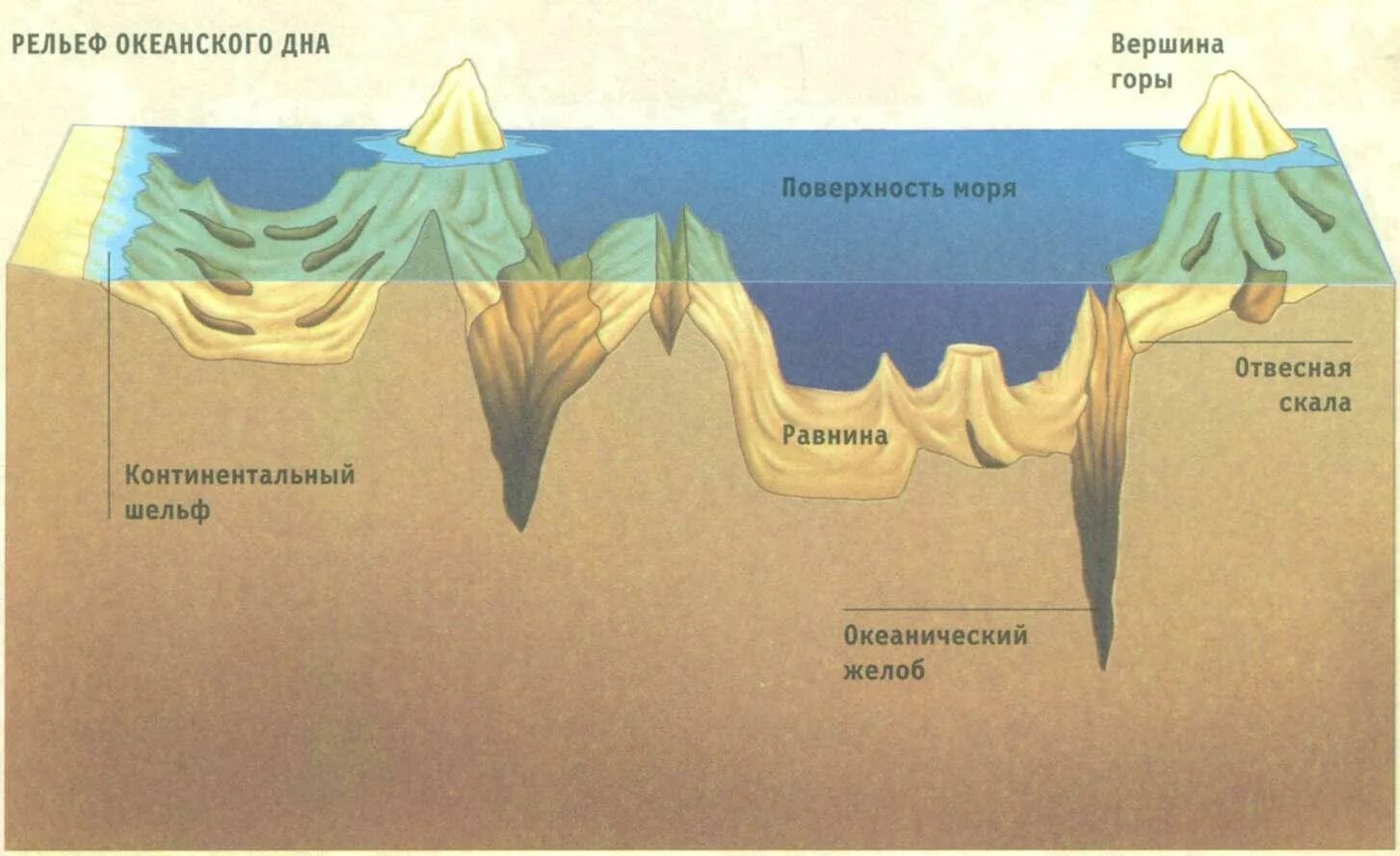 Срез география. Рельеф дна мирового океана схема. Рельеф океанического дна. Формы рельефа дна мирового океана. Рельеф дна океанов.