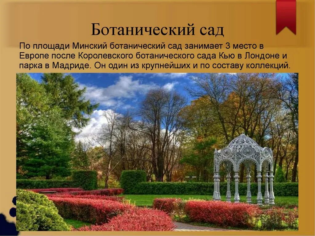 Минск 3 класс. Ботанический сад Санкт-Петербург презентация. Центральный Ботанический сад Беларуси. Ботанический сад презентация. Экскурсии по ботаническому саду.