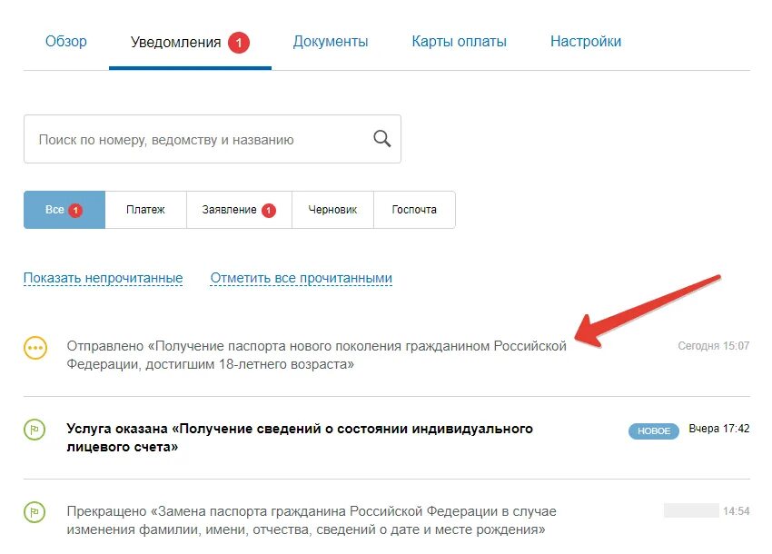 Заявка на документы в личном кабинете. Статусы заявлений на госуслугах.