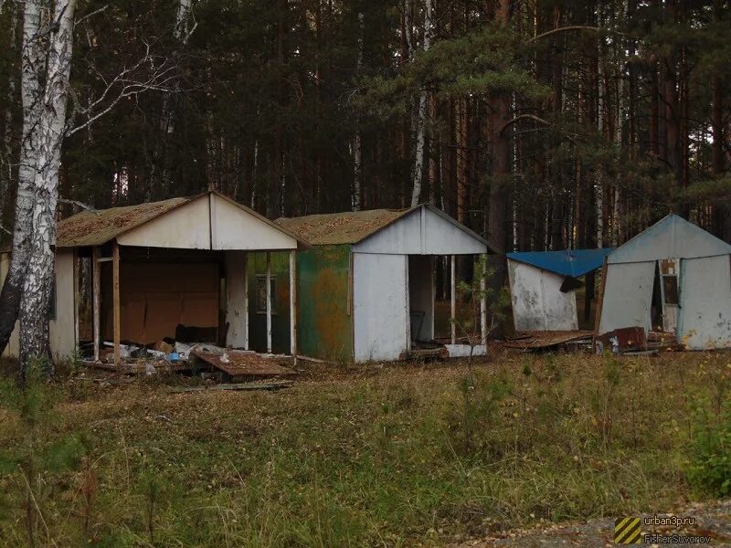 Лагерь дружба московская область. Лагерь Дружба Пушкинский район. Лагерь Дружба зеленый городок. Пионерский лагерь Дружба Московская область Пушкинский район. Оздоровительный лагерь Дружба Пушкинский район.