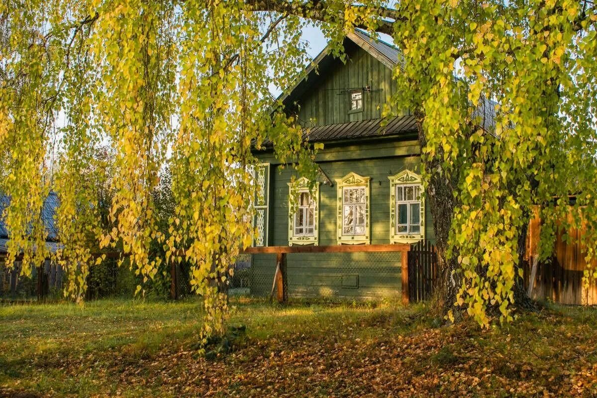 Дом под березами. Русская деревня березы. осень в деревне. деревенский домик. деревенский дом с березой.