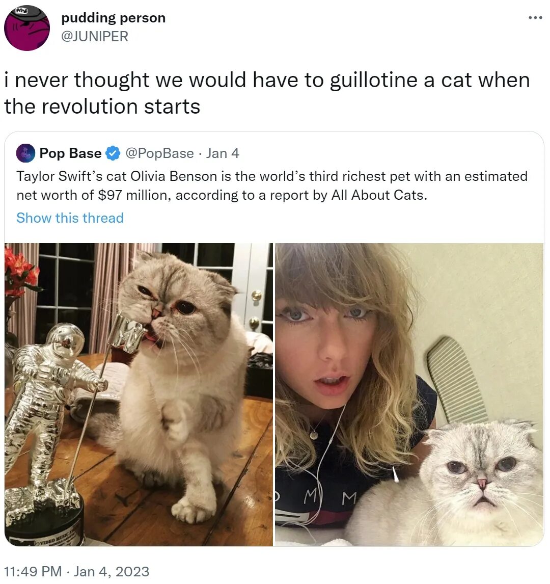 Кошка тейлор. Кошка Тейлор Свифт. Кошка Тейлор Свифт $100 миллионов.
