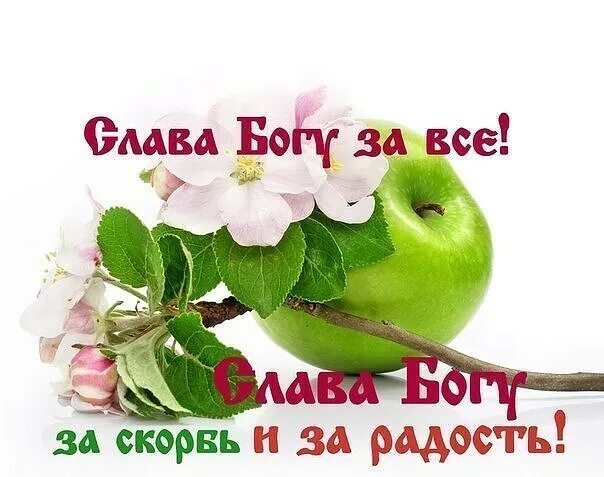 слава богу за все! слава богу за все! слава богу за скорбь и за радость. слава богу за всё фото. слава богу за скорбь. открытка благодарность богу. слава богу за все и за скорбь и за радость.