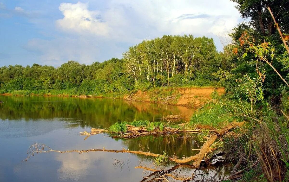 самарская речка. самара (приток волги) реки самарской области. самара (приток волги) реки самарской области. самара (приток волги). река самара в богатом.
