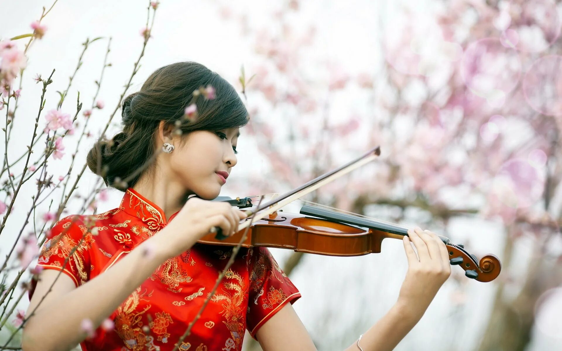 Весенняя скрипка. Девушки со скрипкой. Японская скрипачка. Девушка скрипачка.