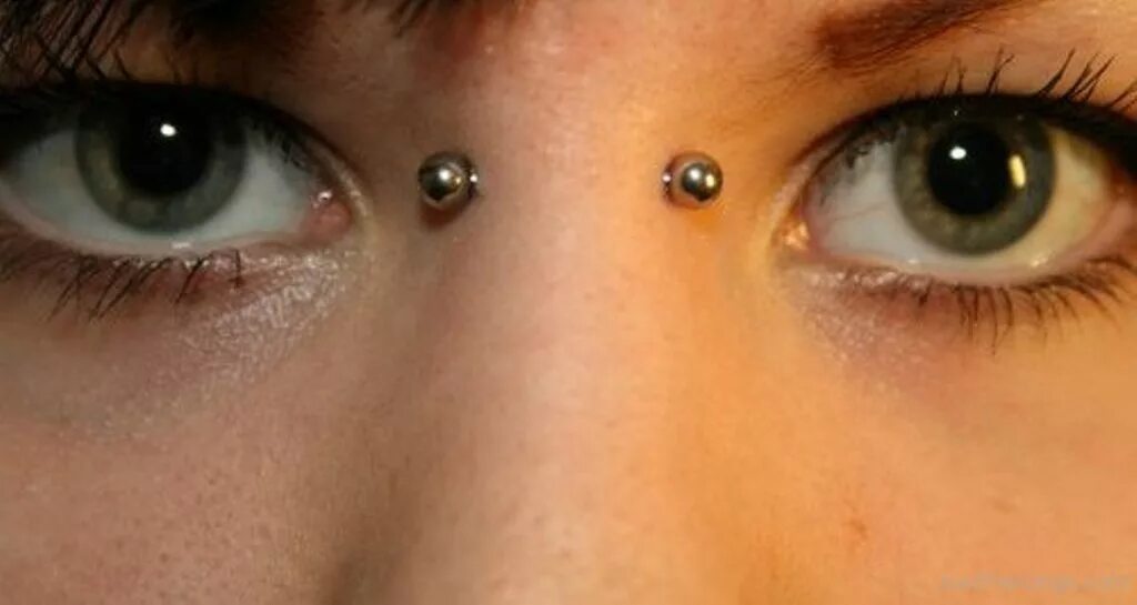 Септум сережка. Прокол переносицы носа. Бридж переносица - септум. Бридж переносица - септум. Прокол переносицы бридж.