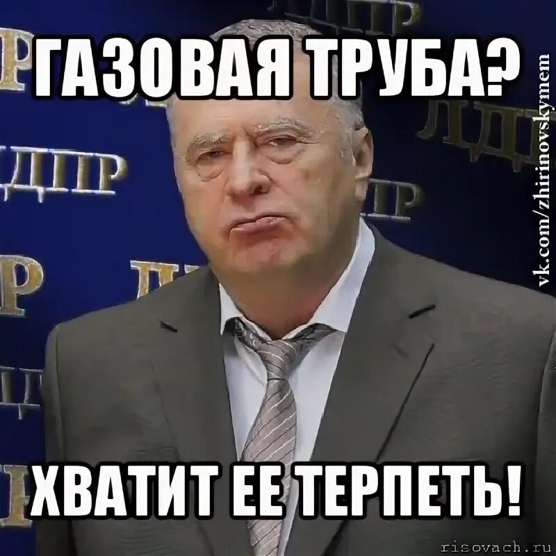 Жириновский терпеть. Мемы с Жириновским хватит это терпеть. Хватит это терпеть картинка. Хватит это терпеть Мем.