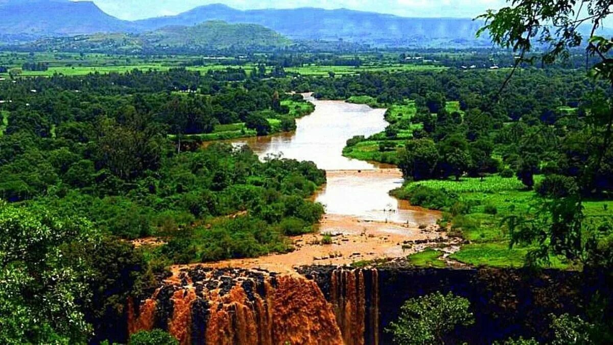 Africa river. Национальный парк Кагера.
