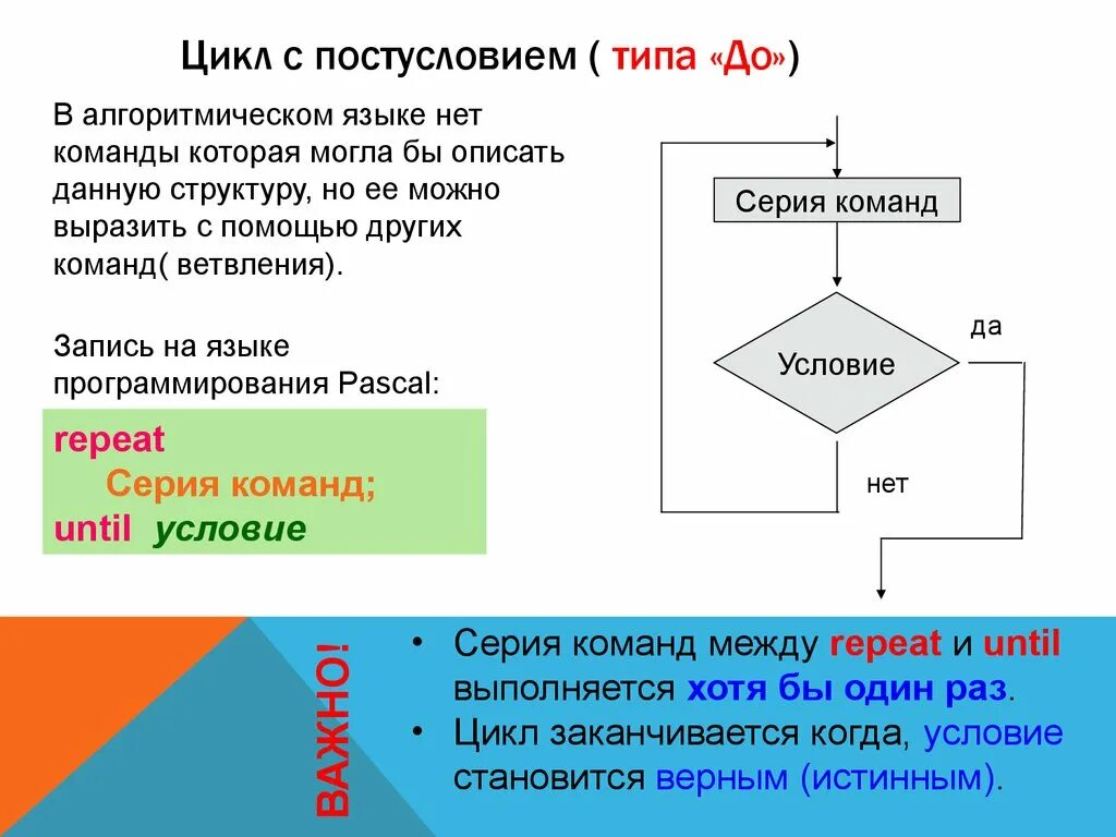 Циклические алгоритмы ветвление. Циклический алгоритм с предусловием. Конструкция цикла с предусловием. Цикл с предусловием Информатика 8 класс. Циклический алгоритм с постусловием.