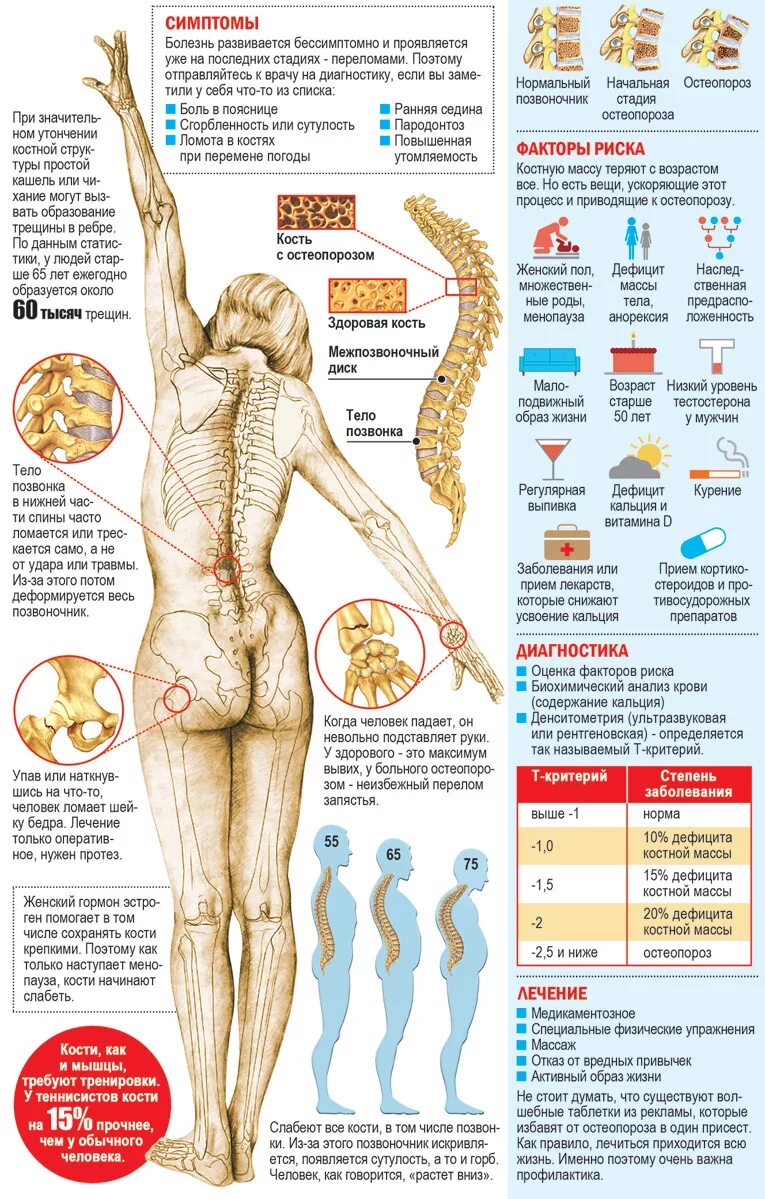 Почему болят все кости.