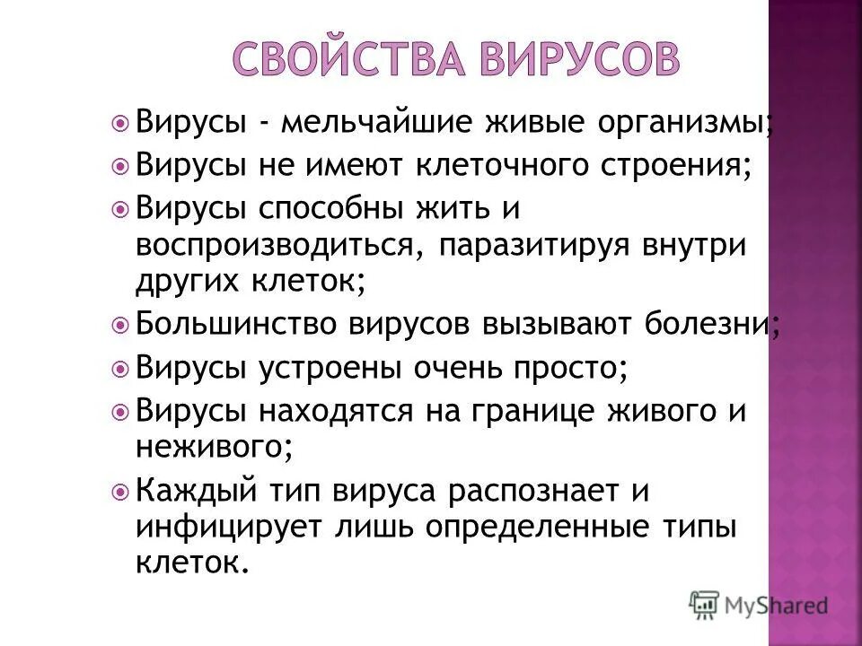 Читать рассказы без вирусов