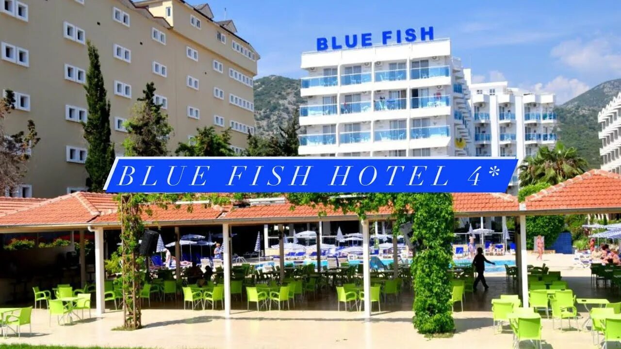 Блю фиш отель турция аланья. Блю Фиш отель Турция. Blue Fish Hotel 4. Blue Fish отель пляж. Blue Fish Hotel, 4 звезды.