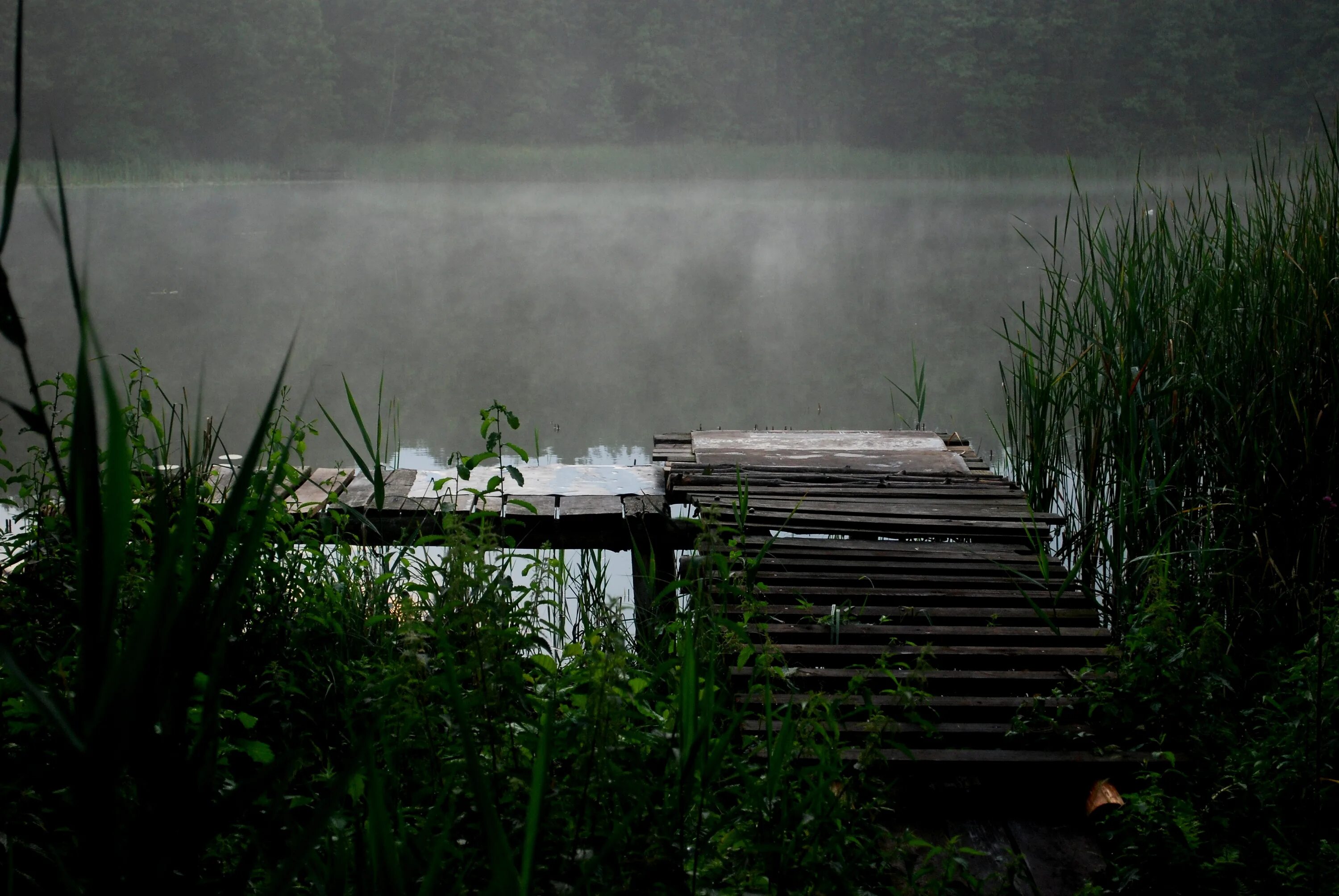Дождевой пруд. Водоем дождь. Кислотное загрязнение. Загрязнение водоемов кислотными дождями. Дождь на реке.