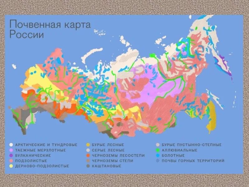 Контурная карта почв россии. Типы почв России карта. Типы почв России на карте 8 класс география. Карта почв 8 класс география. Зональные типы почв России на контурной карте.