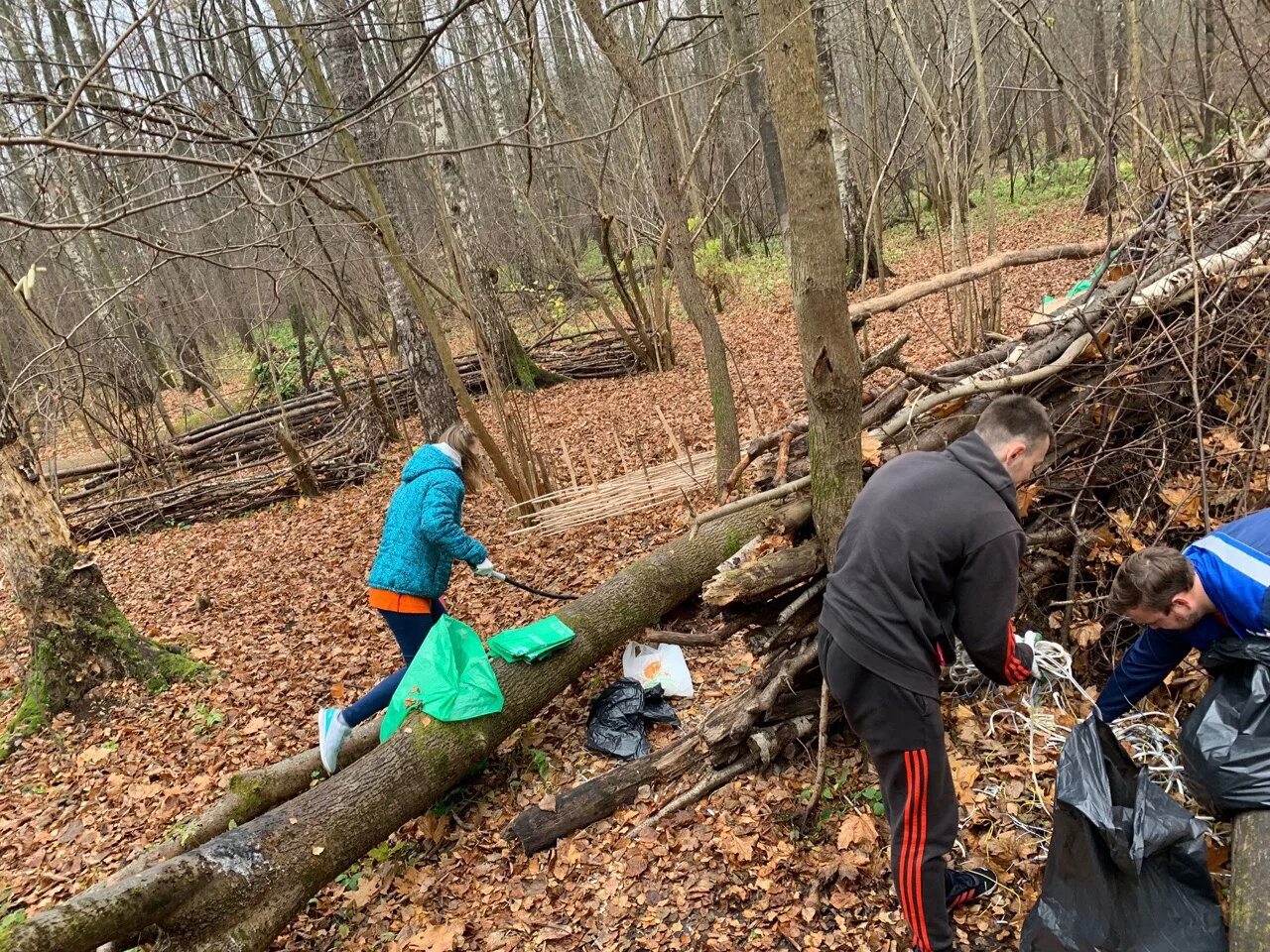 Гришкин лес полтава. Субботник в лесу. Субботник в лесу. Субботник в лесу. Субботник в лесу.