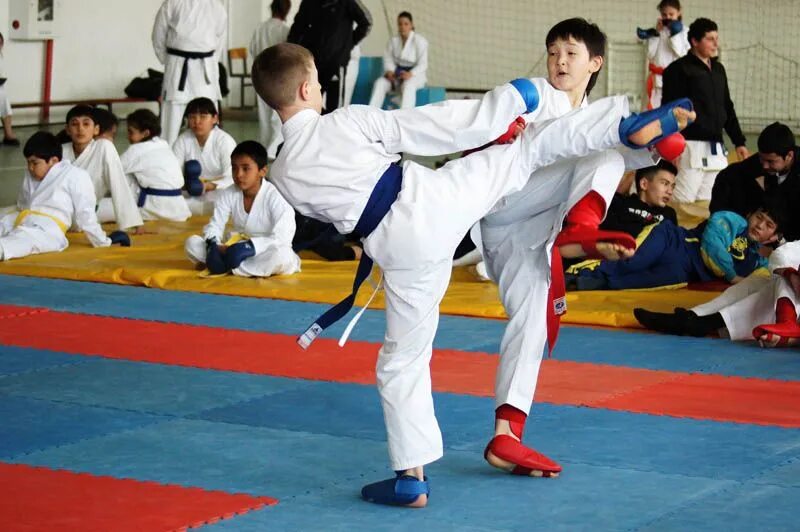 Телефон карате. Бийск каратэ WKF. Лаша Габараев каратэ. Зейналов Муса Алтайский край каратэ.