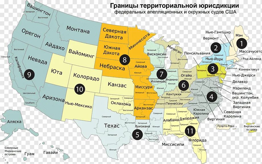 Суды штатов. Федеральные окружные суды сша. суд штата и федеральный суд в сша. федеральный окружной суд сша. судебная система штатов сша.
