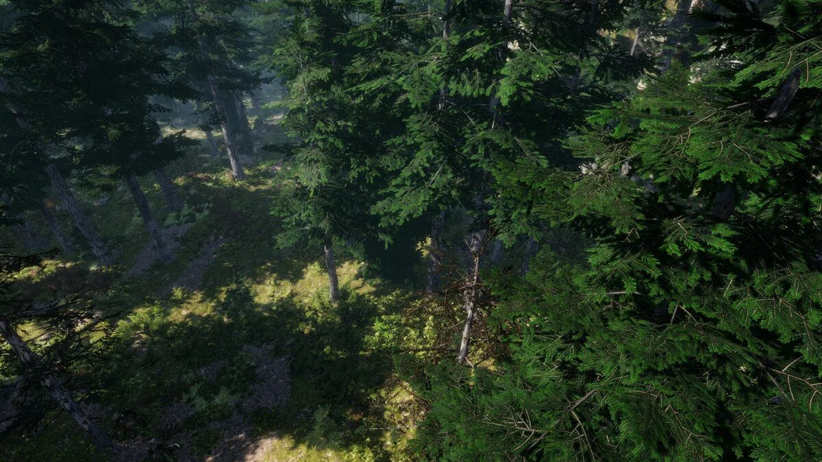 Mountain Trees Dynamic nature Unity Asset. Unity 3d деревья горы озера. Реалистичные деревья 1 19 2. Картинки природа dll. Dynamic trees 1.20