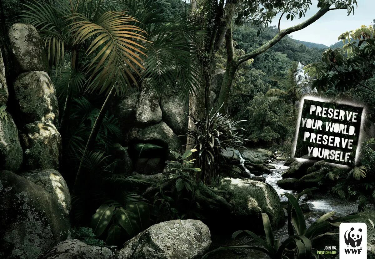 Спас в джунглях. WWF. Плакаты фонда дикой природы. Тропические леса Постер. Фонд защиты тропических лесов.