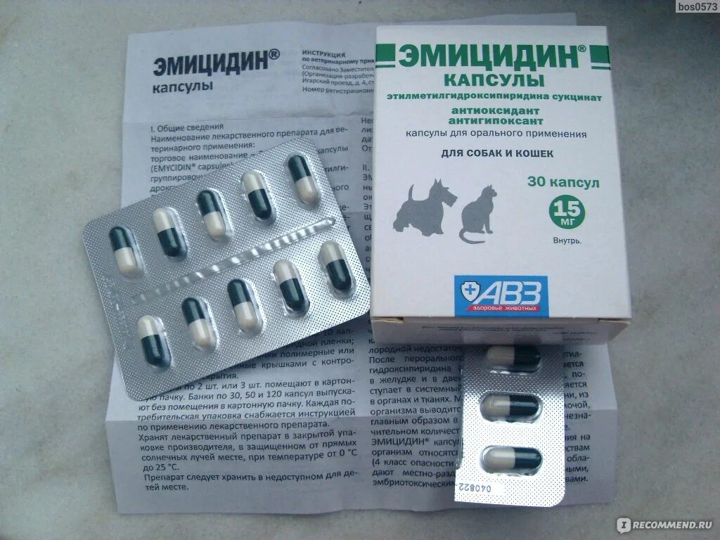 Эмицидин для собак. Эмицидин капсулы. эмицидин 15 мг. эмицидин для кошек. авз эмицидин 15мг 30капс/уп.