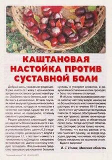 Конский каштан настойка инструкция по применению