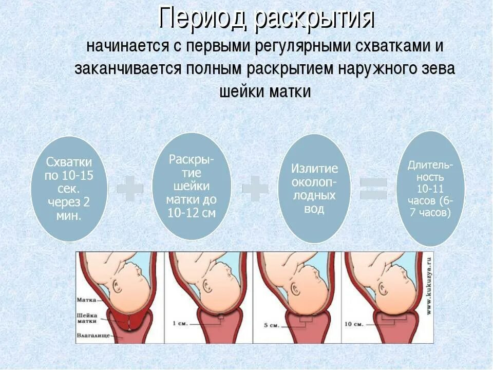 40 недель беременности нет схваток. Период предвестников родов. Схватки. Пробка при беременности перед родами. Родовые схватки характеризуются.