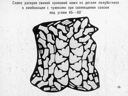 Кожа 5 букв
