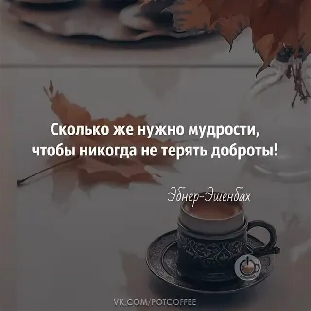 Был добр я никогда не. Сколько же нужно мудрости чтобы никогда не терять доброты. Сколько нужно мудрости чтобы не терять доброты. Сколько нужно мудрости чтобы никогда не терять доброты цитата. Сколько же нужно мудрости чтобы никогда не.