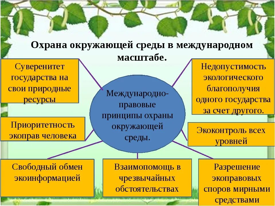 Охрана природы направлена. Охрана окружающей среды презентация. Меры по защите окружающей среды. Принципы охраны окружающей среды. Охрана окружающей среды примеры.