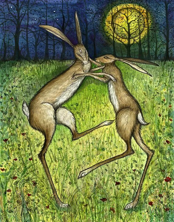 Harpy x mission. Гарпия миф. Furry гарпия арт. Harpy transformation stories. Вот название yaelokre harpy hare illustrated son.