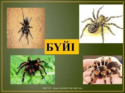 Ол соншалықты қатты трахается, бұл киска пышақтап жатыр.