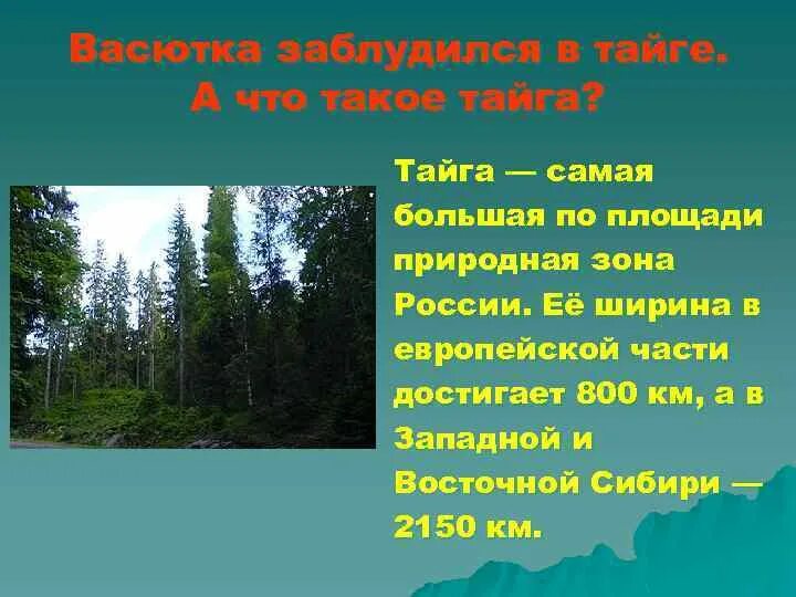 Тайга самая большая по площади природная зона. Тайга природная зона. Тайга европейской части России. Васютка заблудился в тайге. Тайга самая большая природная зона России.