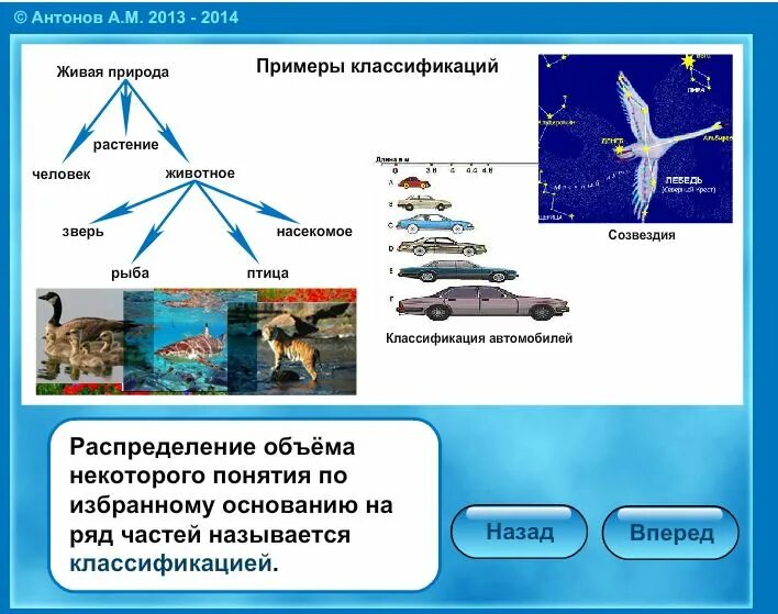 Объектом классификации является