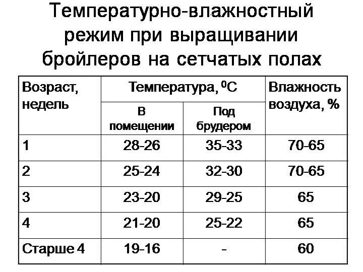 Температура содержания бройлеров таблица. Цыплята бройлеры температурный режим выращивания. Температурный режим для бройлеров. Температура содержания бройлеров по дням таблица.