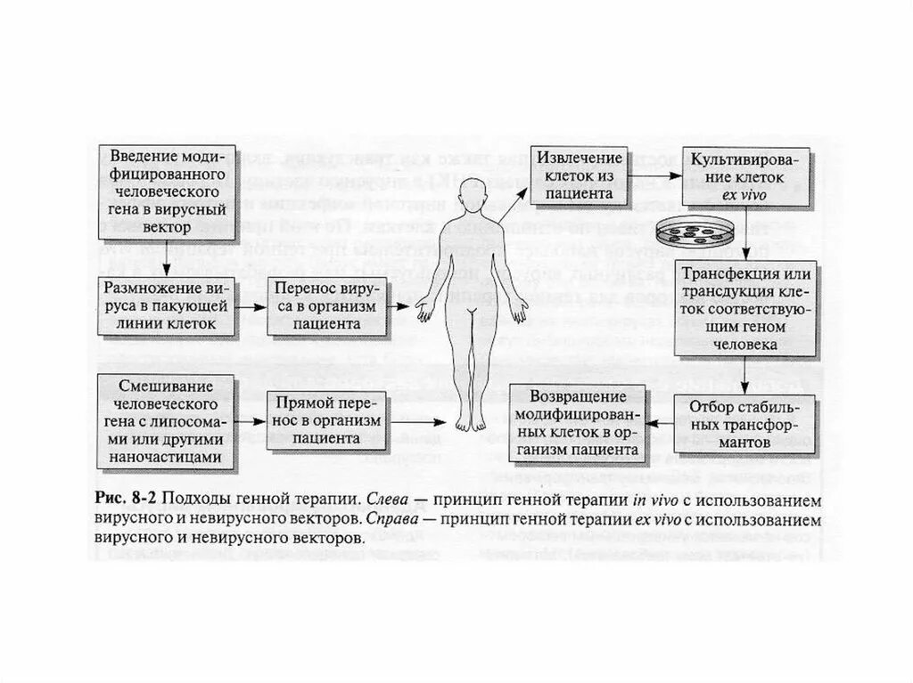 Генная терапия заболеваний. Подходы генной терапии. Разработка подходов к генной терапии наследственных заболеваний.. Генная терапия наследственных заболеваний примеры. Схема проведения генной терапии.